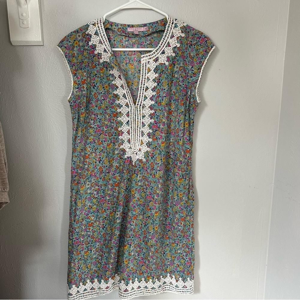 Calypso st. Barth block print embroidered mini dress  boho floral elephant